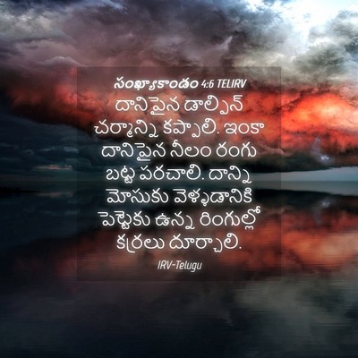 Picture 04 - సంఖ్యాకాండం 4:6 TELIRV - దానిపైన డాల్ఫిన్ - Bible Verse Picture