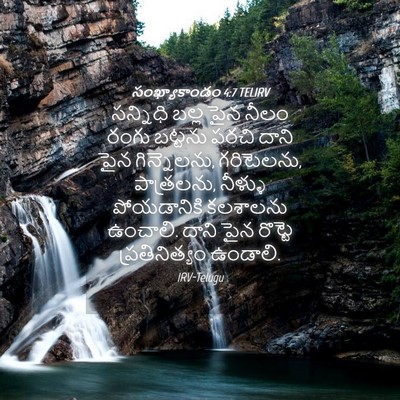 Picture 04 - సంఖ్యాకాండం 4:7 TELIRV - సన్నిధి బల్ల పైన - Bible Verse Picture