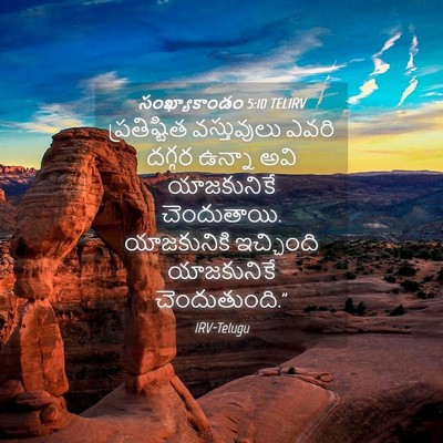 Picture 04 - సంఖ్యాకాండం 5:10 TELIRV - ప్రతిష్టిత - Bible Verse Picture
