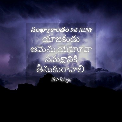 Picture 04 - సంఖ్యాకాండం 5:16 TELIRV - యాజకుడు ఆమెను - Bible Verse Picture