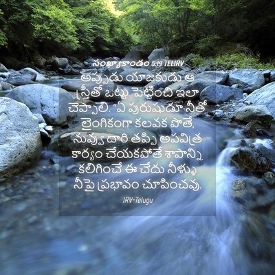 Picture 04 - సంఖ్యాకాండం 5:19 TELIRV - అప్పుడు యాజకుడు ఆ - Bible Verse Picture