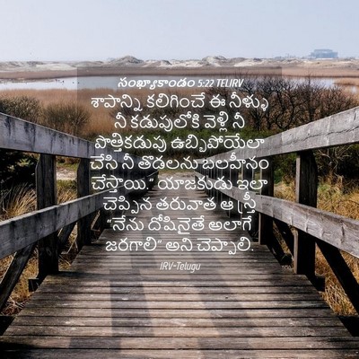 Picture 04 - సంఖ్యాకాండం 5:22 TELIRV - శాపాన్ని కలిగించే - Bible Verse Picture