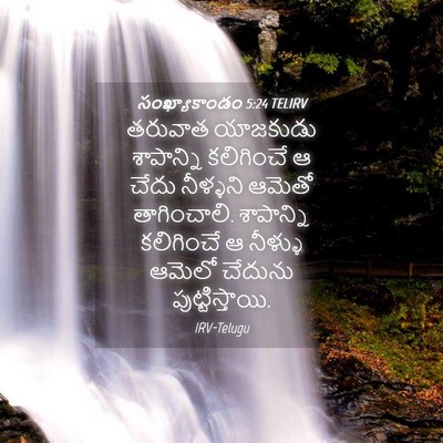 Picture 04 - సంఖ్యాకాండం 5:24 TELIRV - తరువాత యాజకుడు - Bible Verse Picture