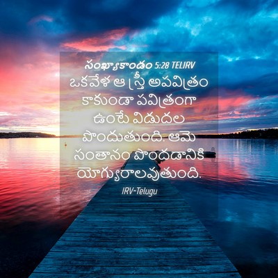 Picture 04 - సంఖ్యాకాండం 5:28 TELIRV - ఒకవేళ ఆ స్త్రీ - Bible Verse Picture