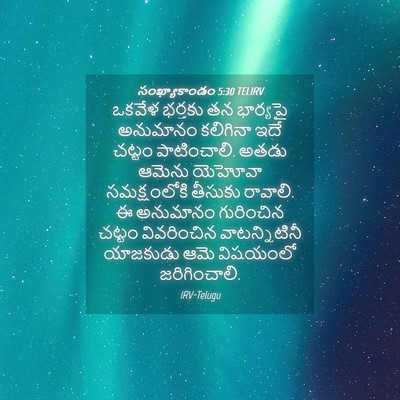 Picture 04 - సంఖ్యాకాండం 5:30 TELIRV - ఒకవేళ భర్తకు తన - Bible Verse Picture