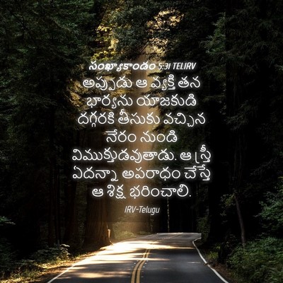 Picture 04 - సంఖ్యాకాండం 5:31 TELIRV - అప్పుడు ఆ వ్యక్తి - Bible Verse Picture