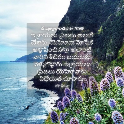 Picture 04 - సంఖ్యాకాండం 5:4 TELIRV - ఇశ్రాయేలు ప్రజలు - Bible Verse Picture