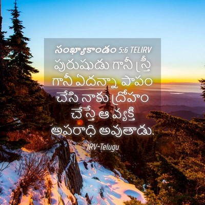 Picture 04 - సంఖ్యాకాండం 5:6 TELIRV - పురుషుడు గానీ - Bible Verse Picture