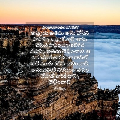 Picture 04 - సంఖ్యాకాండం 5:7 TELIRV - అప్పుడు అతడు తాను - Bible Verse Picture