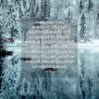 Picture 04 - సంఖ్యాకాండం 5:8 TELIRV - ఆ అపరాధ - Bible Verse Picture