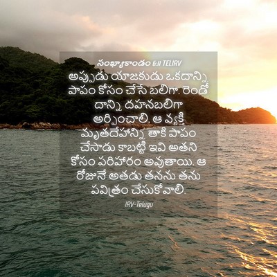 Picture 04 - సంఖ్యాకాండం 6:11 TELIRV - అప్పుడు యాజకుడు - Bible Verse Picture