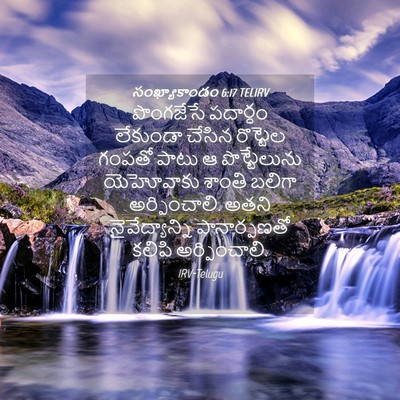 Picture 04 - సంఖ్యాకాండం 6:17 TELIRV - పొంగజేసే పదార్ధం - Bible Verse Picture