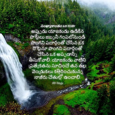Picture 04 - సంఖ్యాకాండం 6:19 TELIRV - అప్పుడు యాజకుడు - Bible Verse Picture