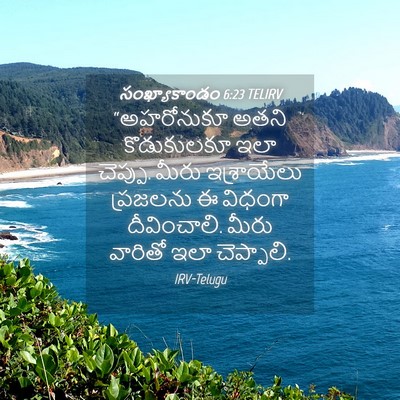 Picture 04 - సంఖ్యాకాండం 6:23 TELIRV - “అహరోనుకూ అతని - Bible Verse Picture