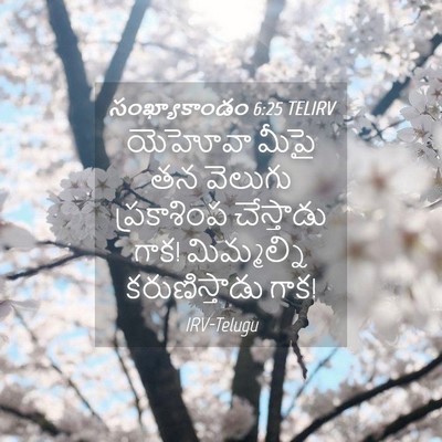 Picture 04 - సంఖ్యాకాండం 6:25 TELIRV - యెహోవా మీపై తన - Bible Verse Picture