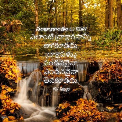 Picture 04 - సంఖ్యాకాండం 6:3 TELIRV - ఎలాంటి - Bible Verse Picture