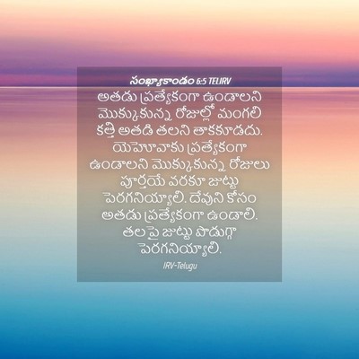 Picture 04 - సంఖ్యాకాండం 6:5 TELIRV - అతడు ప్రత్యేకంగా - Bible Verse Picture