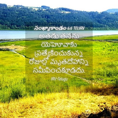Picture 04 - సంఖ్యాకాండం 6:6 TELIRV - అతడు తనను - Bible Verse Picture