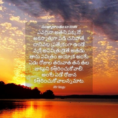 Picture 04 - సంఖ్యాకాండం 6:9 TELIRV - ఎవరైనా అతని - Bible Verse Picture