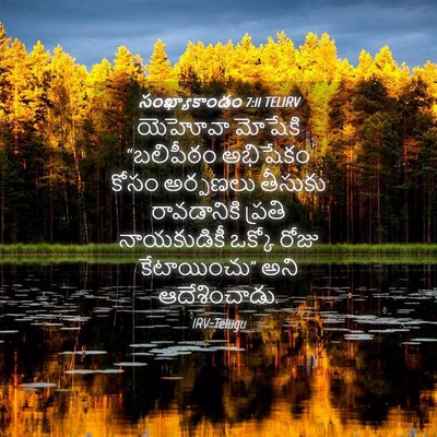 Picture 04 - సంఖ్యాకాండం 7:11 TELIRV - యెహోవా మోషేకి - Bible Verse Picture