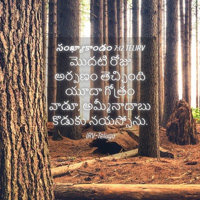 Picture 04 - సంఖ్యాకాండం 7:12 TELIRV - మొదటి రోజు అర్పణం - Bible Verse Picture