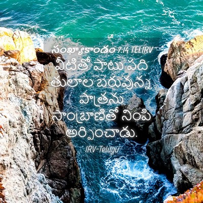 Picture 04 - సంఖ్యాకాండం 7:14 TELIRV - వీటితో పాటు పది - Bible Verse Picture