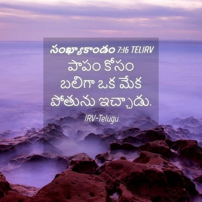 Picture 04 - సంఖ్యాకాండం 7:16 TELIRV - పాపం కోసం బలిగా ఒక - Bible Verse Picture