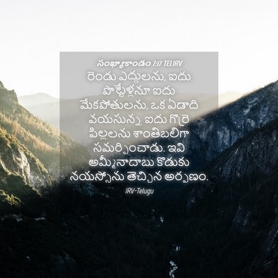 Picture 04 - సంఖ్యాకాండం 7:17 TELIRV - రెండు ఎద్దులను, - Bible Verse Picture