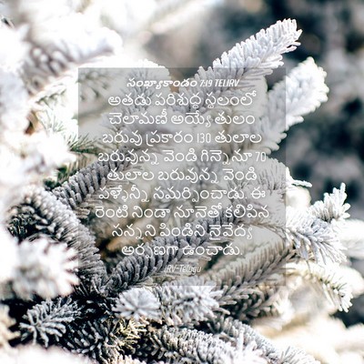 Picture 04 - సంఖ్యాకాండం 7:19 TELIRV - అతడు పరిశుద్ధ - Bible Verse Picture