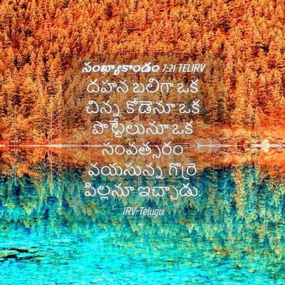 Picture 04 - సంఖ్యాకాండం 7:21 TELIRV - దహన బలిగా ఒక చిన్న - Bible Verse Picture