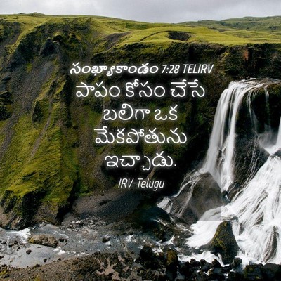 Picture 04 - సంఖ్యాకాండం 7:28 TELIRV - పాపం కోసం చేసే - Bible Verse Picture