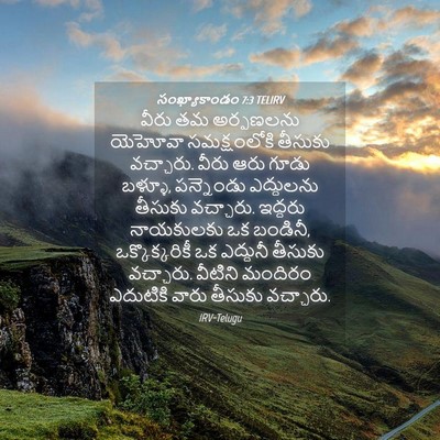 Picture 04 - సంఖ్యాకాండం 7:3 TELIRV - వీరు తమ అర్పణలను - Bible Verse Picture