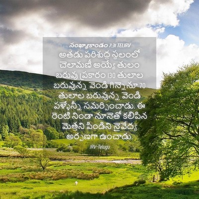 Picture 04 - సంఖ్యాకాండం 7:31 TELIRV - అతడు పరిశుద్ధ - Bible Verse Picture