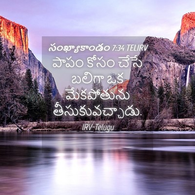 Picture 04 - సంఖ్యాకాండం 7:34 TELIRV - పాపం కోసం చేసే - Bible Verse Picture