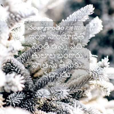 Picture 04 - సంఖ్యాకాండం 7:38 TELIRV - ఇంకా సాంబ్రాణితో - Bible Verse Picture