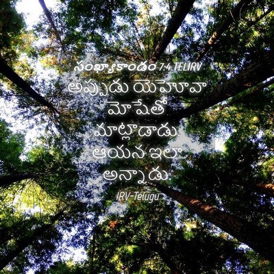 Picture 04 - సంఖ్యాకాండం 7:4 TELIRV - అప్పుడు యెహోవా - Bible Verse Picture
