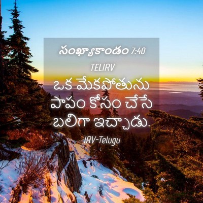 Picture 04 - సంఖ్యాకాండం 7:40 TELIRV - ఒక మేకపోతును పాపం - Bible Verse Picture