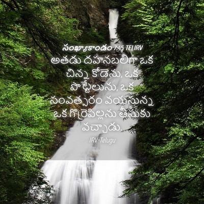 Picture 04 - సంఖ్యాకాండం 7:45 TELIRV - అతడు దహనబలిగా ఒక - Bible Verse Picture