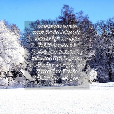 Picture 04 - సంఖ్యాకాండం 7:47 TELIRV - ఇంకా రెండు - Bible Verse Picture