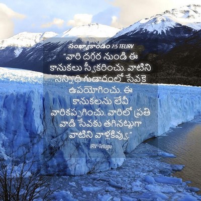 Picture 04 - సంఖ్యాకాండం 7:5 TELIRV - “వారి దగ్గర నుండి - Bible Verse Picture