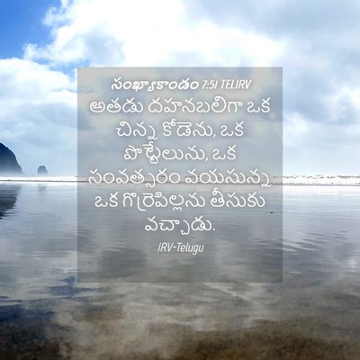 Picture 04 - సంఖ్యాకాండం 7:51 TELIRV - అతడు దహనబలిగా ఒక - Bible Verse Picture