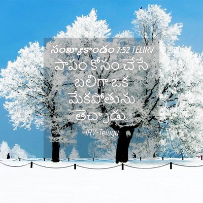 Picture 04 - సంఖ్యాకాండం 7:52 TELIRV - పాపం కోసం చేసే - Bible Verse Picture