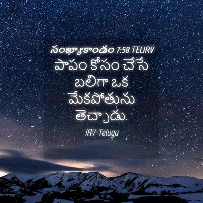 Picture 04 - సంఖ్యాకాండం 7:58 TELIRV - పాపం కోసం చేసే - Bible Verse Picture