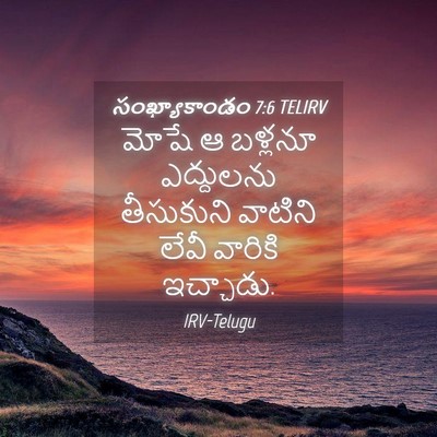 Picture 04 - సంఖ్యాకాండం 7:6 TELIRV - మోషే ఆ బళ్లనూ - Bible Verse Picture
