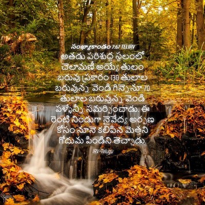 Picture 04 - సంఖ్యాకాండం 7:67 TELIRV - అతడు పరిశుద్ధ - Bible Verse Picture