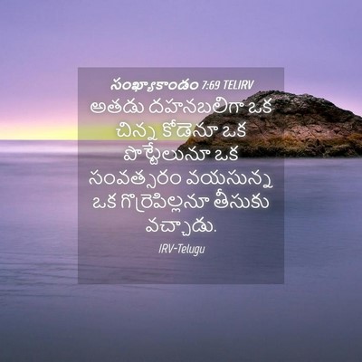 Picture 04 - సంఖ్యాకాండం 7:69 TELIRV - అతడు దహనబలిగా ఒక - Bible Verse Picture