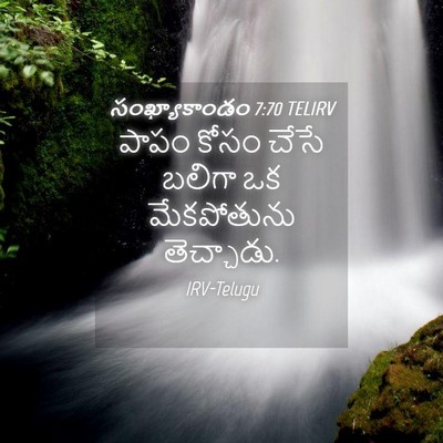 Picture 04 - సంఖ్యాకాండం 7:70 TELIRV - పాపం కోసం చేసే - Bible Verse Picture