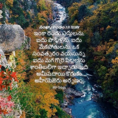 Picture 04 - సంఖ్యాకాండం 7:71 TELIRV - ఇంకా రెండు - Bible Verse Picture