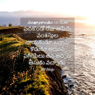 Picture 04 - సంఖ్యాకాండం 7:72 TELIRV - పదకొండో రోజు - Bible Verse Picture