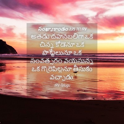 Picture 04 - సంఖ్యాకాండం 7:75 TELIRV - అతడు దహనబలిగా ఒక - Bible Verse Picture